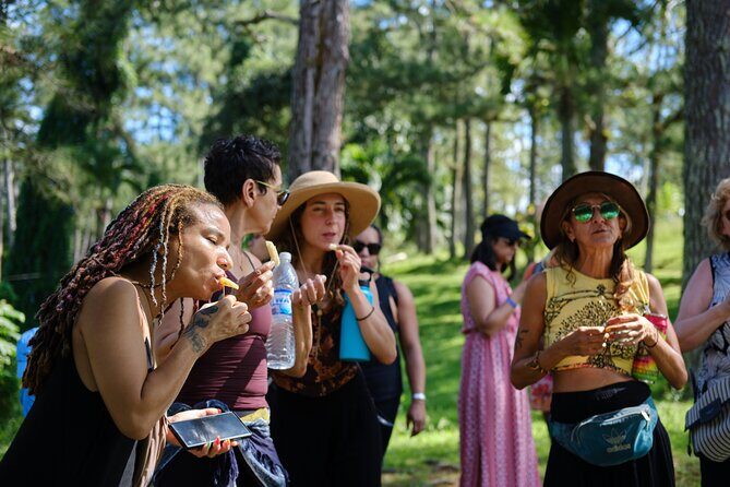 Croydon In The Mountains - Exotic Fruits & Flowers - Beekeeping and honey production: the lesson part that sticks