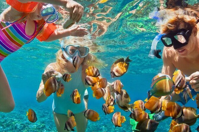 Customize Snorkeling with Option shopping Lunch & Stop local food - Key highlights to know before you go