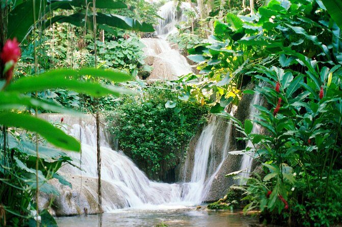 Day Trip to Bob Marley's Nine Mile and Dunn's River Falls from Falmouth - Who This Tour Suits Best (And Who Might Re-think Dunn’s River)