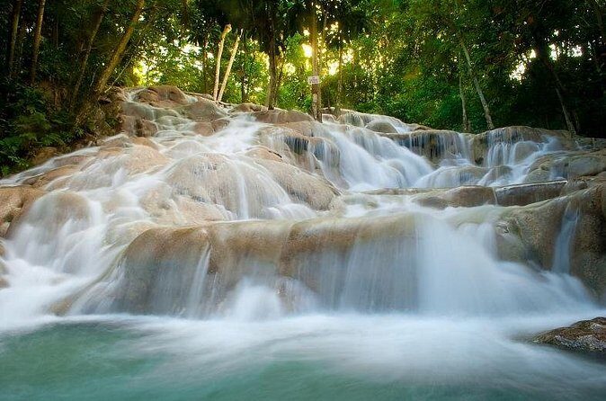 Day Trip to Dunn's River Falls from Montego Bay - What to expect from the guide and driver experience
