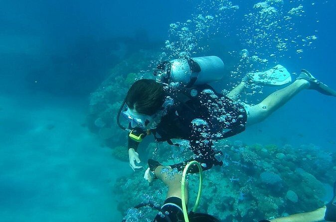 Discover Scuba Diving From Ocho Rios - Certified Divers: Two Tanks, Two Underwater Stops, More Variety