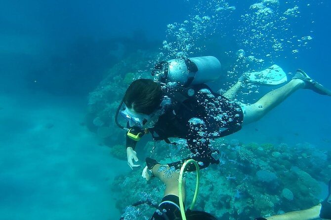 Discover Scuba Diving From Ocho Rios - Controlled Area Coaching: The Best Part For New SCUBA Students