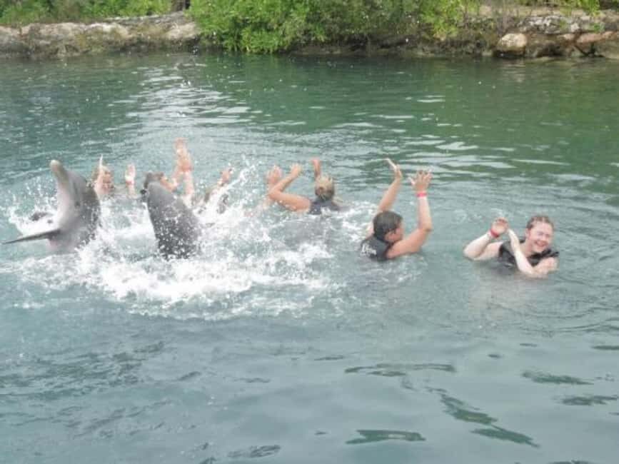 Dolphin Swim Adventure - Key things to know before you go