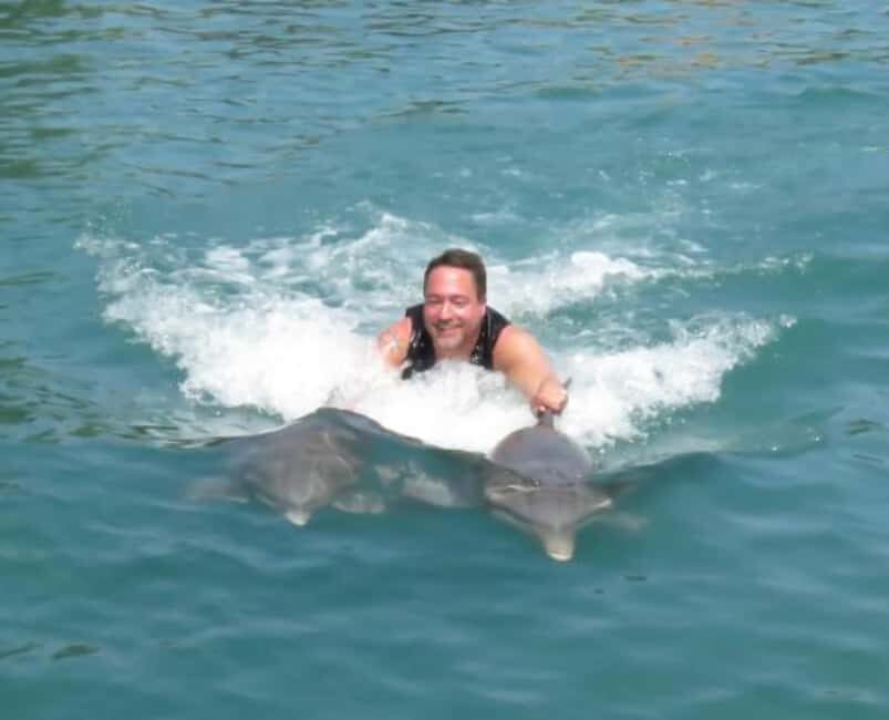 Dolphin Swim Adventure - Swimming with dolphins: what the guided interactions include