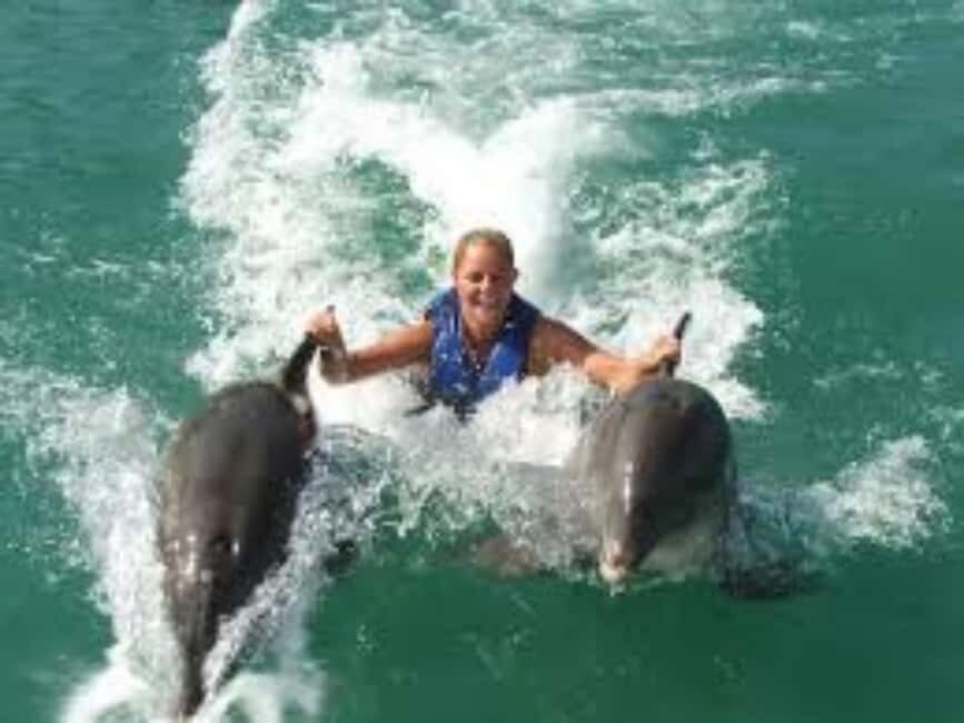 Dolphin Swim Adventure - How the 3-hour experience flows: briefing, lagoon time, and photos