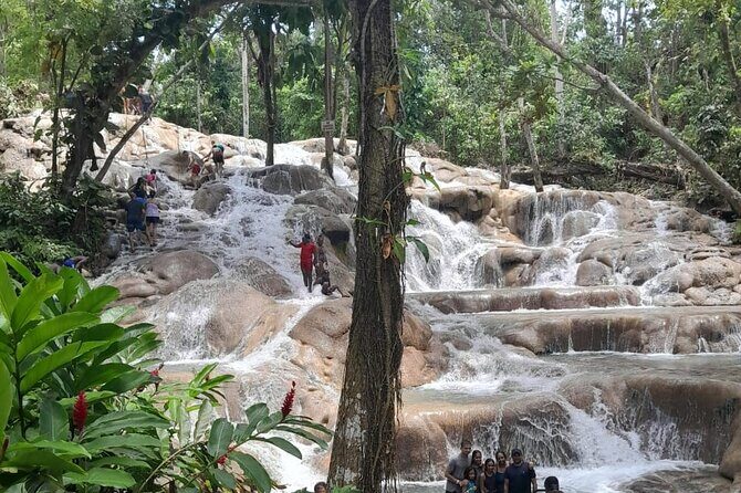 Dunn River Falls and Bamboo River Rafting in Ocho Rios Jamaica. - Price and What $135 Buys You in Ocho Rios