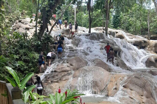 Dunn River Falls and Bamboo River Rafting in Ocho Rios Jamaica. - Who Should Book This Dunn’s River and Bamboo Combo