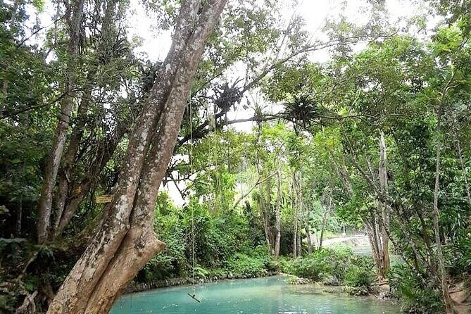 Dunn's Falls and Blue Hole Daytrip with Lunch from Montego Bay & Trelawny - Key highlights you should know before you go