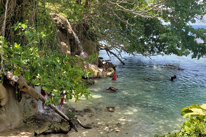 Dunn's Falls and Blue Hole Daytrip with Lunch from Montego Bay & Trelawny - Guides and drivers: why the day feels friendly instead of chaotic