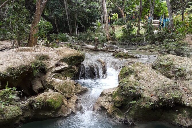 Dunn's Falls and Blue Hole Daytrip with Lunch from Montego Bay & Trelawny - Weather and day changes: why timing depends on conditions