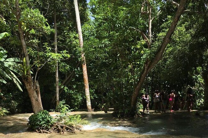 Dunn's River and Blue Hole Tour from Ocho Rios - Fitness Level and Who This Tour Fits Best
