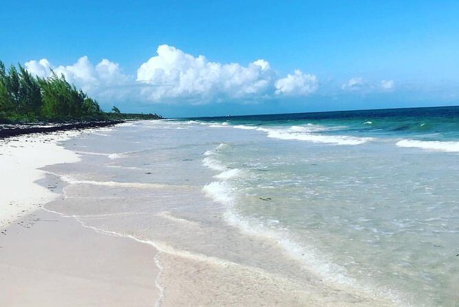 Dunn's River Falls and Beach From Ocho Rios Jamaica - Key Points That Make This Tour Worth Your Time