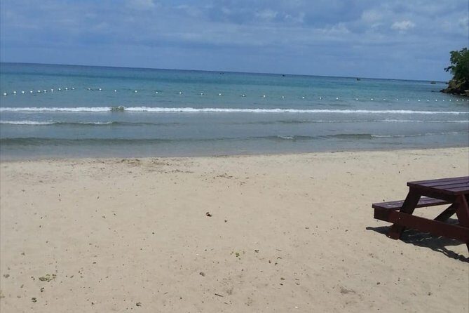 Dunn's River Falls and Beach From Ocho Rios Jamaica - Why This Half-Day Works from Ocho Rios
