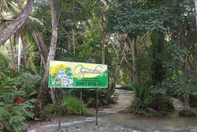 Dunn's River Falls and Beach From Ocho Rios Jamaica - Guide and Driver Notes: What Good Service Looks Like