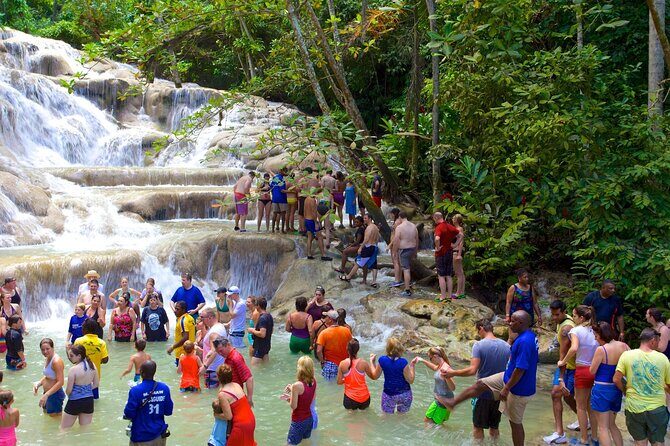 Dunn's River Falls and Blue Hole Adventure from Montego Bay Ja - What the “Private Tour” Changes for Your Day