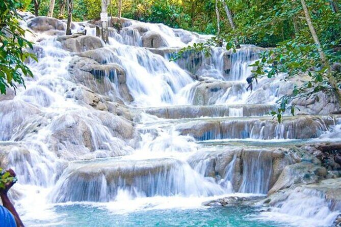 Dunn's River Falls and Bob Marley Mausoleum - How the Day Flows From Negril: Timing, Transport, and Small-Group Comfort