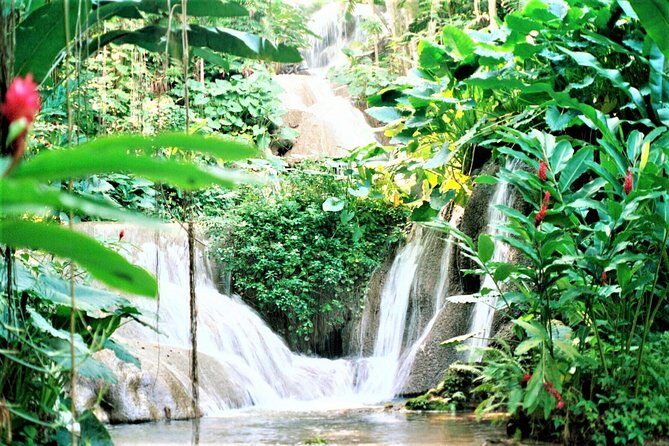 Dunn's River Falls and Ocho Rios Shopping Tour from Montego Bay Hotels - Morning pickup and the ride toward Ocho Rios