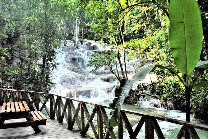 Dunn's River Falls and Ocho Rios Shopping Tour from Runaway Bay - Family-friendly or not: who this tour fits best