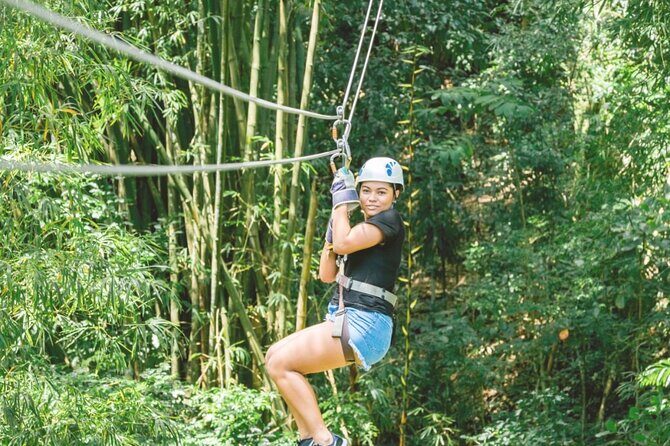 Dunn's River Falls and Park Tour with Zip Line from Montego Bay - Key Things to Know Before You Go