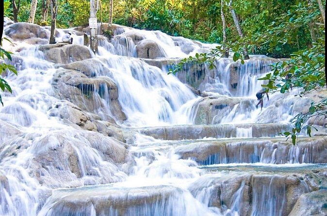 Dunn's River Falls and Park Tour with Zip Line from Montego Bay - The Zip Line Above the Trees: Fast Views, Big Thrill