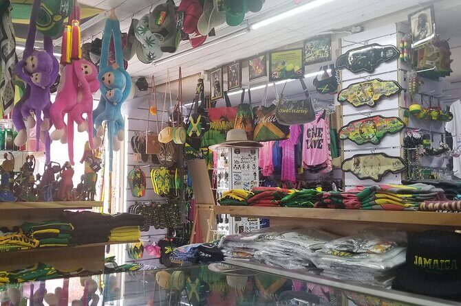 Dunn's River Falls And Shopping Tour From Ocho Rios - Who this tour fits best (and who might want a different plan)