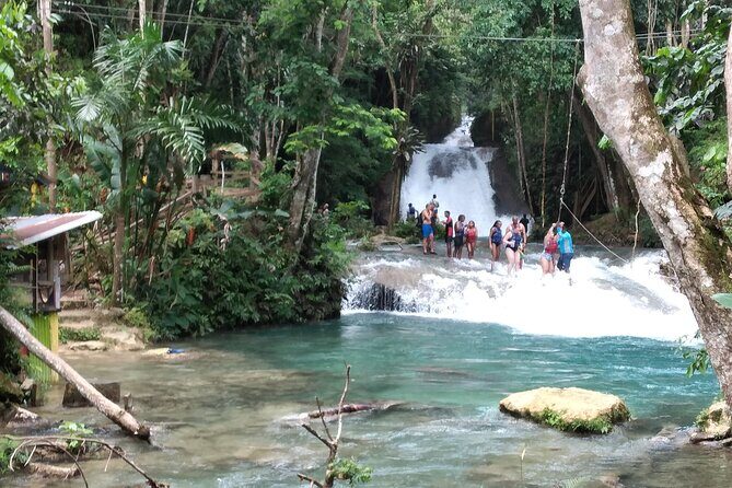 Dunn's River Falls & Blue Hole from Montego Bay or Falmouth - What you get with your guide, not just your transport