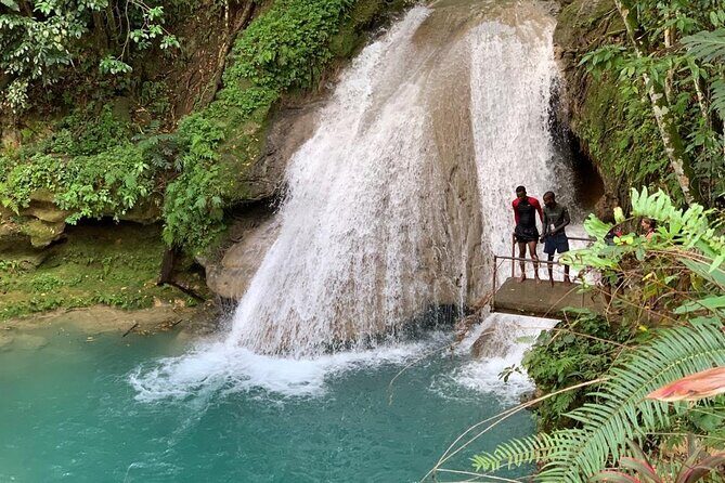 Dunn’s River Falls & Blue Hole Tour with Lunch - Price and what you’re really paying for (and what you might not be expecting)