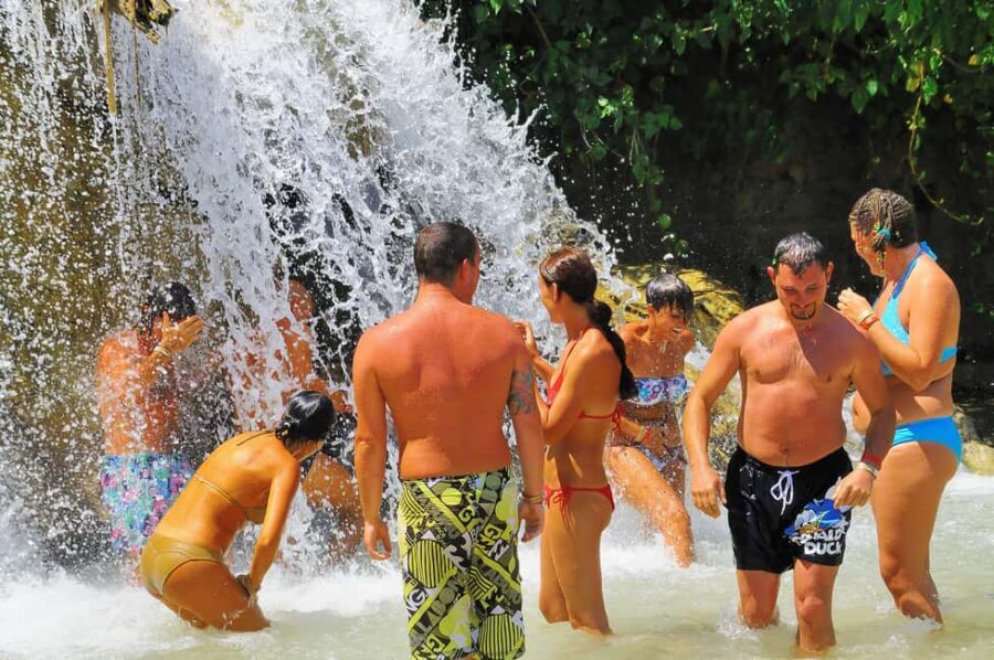Dunn's River Falls, Bob Marley 9 Mile - Optional Lagoon Tour - Who Should Book This, and Who Might Want a Different Plan