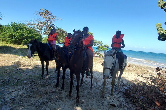 Dunn's River Falls Climb, Zipline and Horseback Riding Private Tour - Zipline Over the Canopy: Height, Adrenaline, and Safety-First Guidance