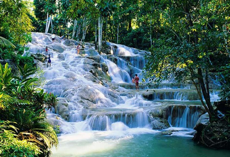 Dunn's River Falls Day Tour - Private Pickup Around Montego Bay: The Real Value