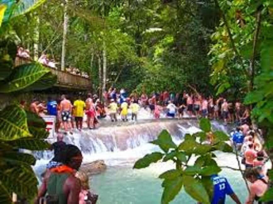 Dunn's River Falls Day Tour - Getting to Dunn’s River Falls Without the Guesswork