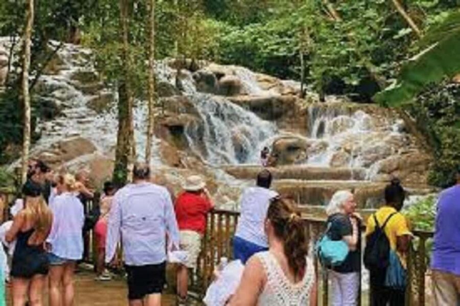 Dunn's River Falls Day Tour - Fern Gully: The Rainforest Walk With an Education Angle
