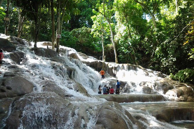 Dunn's River Falls excursion from Montego Bay - Key points worth knowing