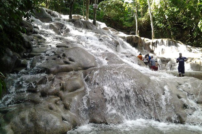 Dunn's River Falls excursion from Montego Bay - The human factor: driver quality and pace of the day