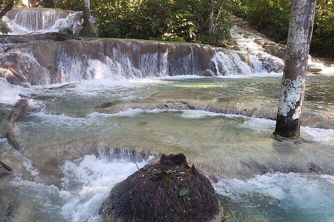 Dunns River Falls Experience from Montego Bay Resorts - From Montego Bay: how the 4-hour outing usually feels