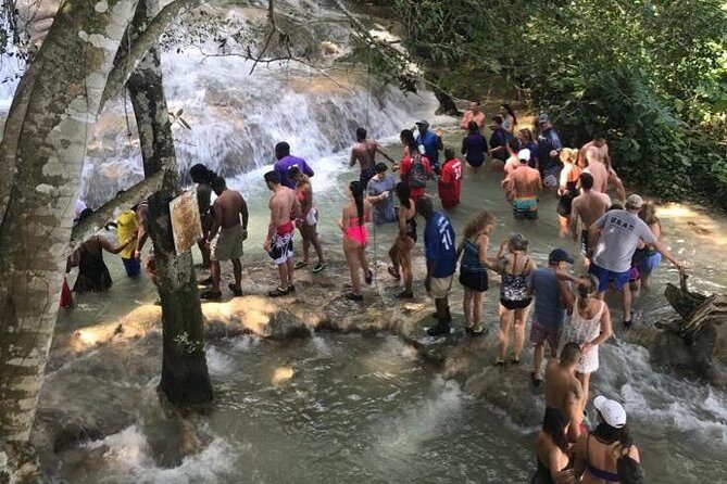 Dunn's River Falls From Montego Bay - The 8:00 am Start: Early Timing Helps You Move With Less Chaos