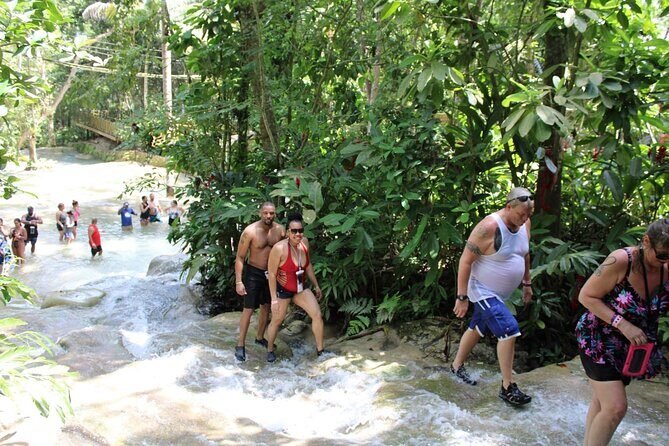 Dunns River Falls Half Day Private Tour Including Entry Fee. - Key points before you go