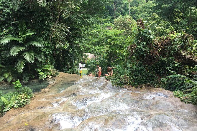Dunn’s River Falls & Horse Back Riding Transportation Only - Price and Logistics: What $80 Really Buys in Ocho Rios