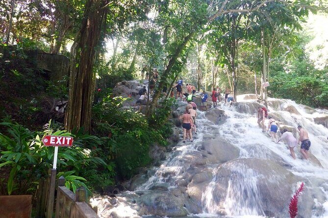 Dunns River Falls Private Day Tour - Your 3–4 hour window from Montego Bay