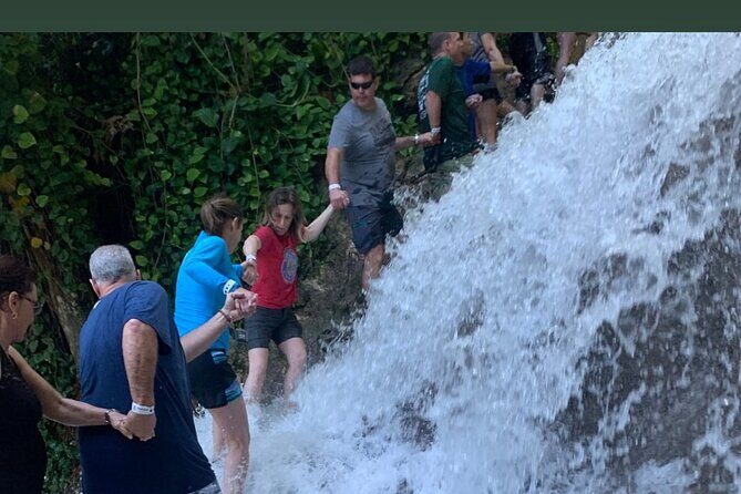 Dunns River Falls Private Day Tour - Who this tour suits best