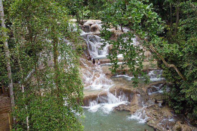 Dunns River Falls, Rafting, Zipline & Horseback from Montego Bay - Scotchies Jerk Lunch: A Smart Fuel Stop