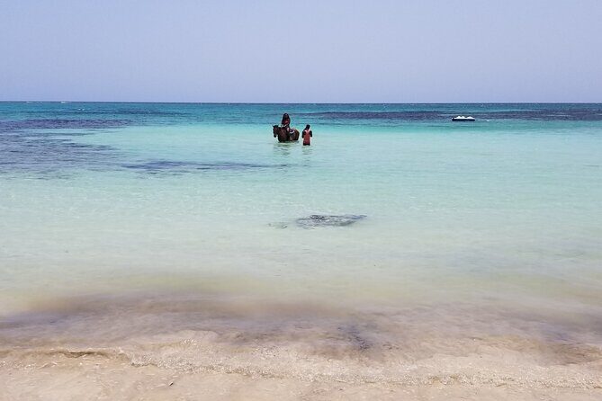 Dunn's River Falls, River Tubing, and Horseback Riding With Transportation - Who This Tour Is Best For (And Who Might Prefer Something Else)