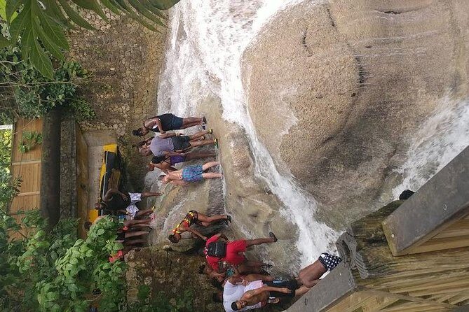 Dunns River Falls Scenic Tour - What the climb feels like: pace, water, and a moderate fitness level