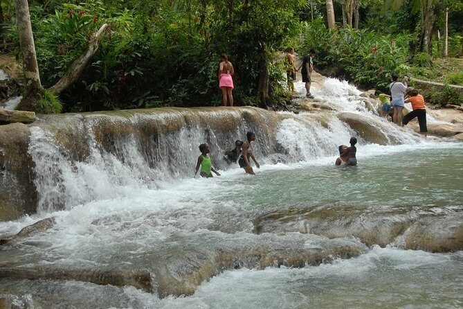 Dunn's River Falls Tour from Ocho Rios - Scotchies Stop: Jerk Chicken and Pork in a 1-Hour Food Break