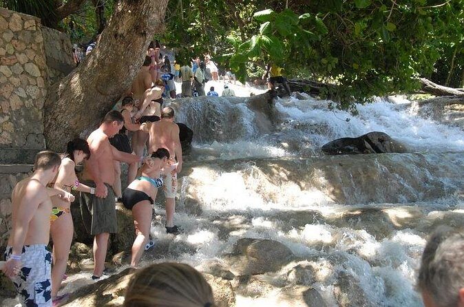 Dunn's River Falls Tour from Ocho Rios - Price and Logistics in Real Life: How to Make This Day Go Smoothly