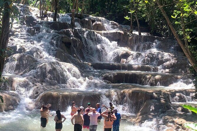 Dunn's River Falls, Zipline Adventure from Kingston - Key highlights you’ll actually care about