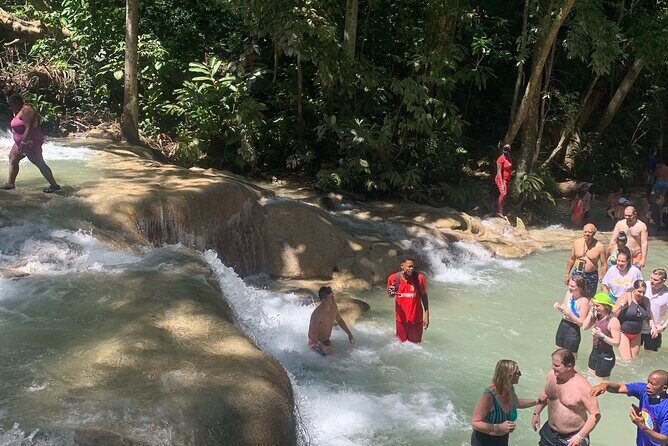 Dunn's River Falls, Zipline Adventure from Kingston - Zipline over Dunn’s River: the 1-hour thrill with big views