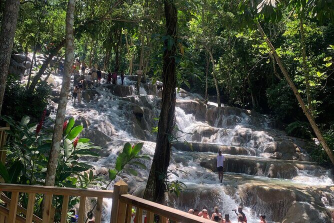 Dunn's River Falls, Zipline Adventure from Kingston - Who should book this (and who should think twice)