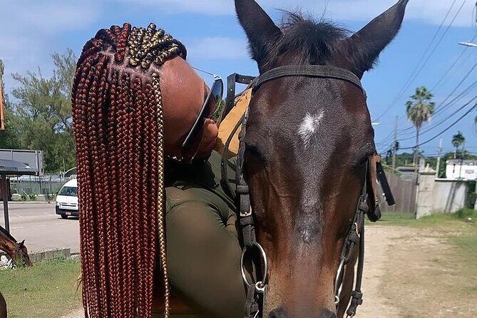 Dunn’s River Falls,Zip lining & horseback riding Combo tour from Montego Bay - Private Tour Feel: Getting Real Help Without the Big-Tour Noise