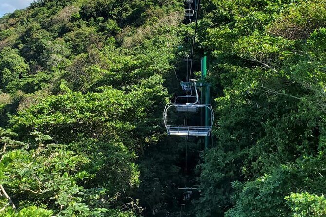 Dunn’s River Falls,Zip lining & horseback riding Combo tour from Montego Bay - Weather and Timing: The Two Things That Can Change Your Day